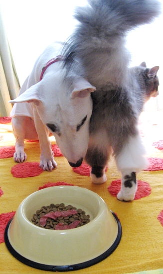 c0192330_10514149.jpg