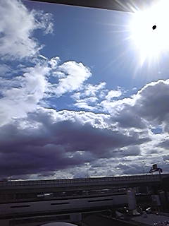 e0185530_1554722.jpg