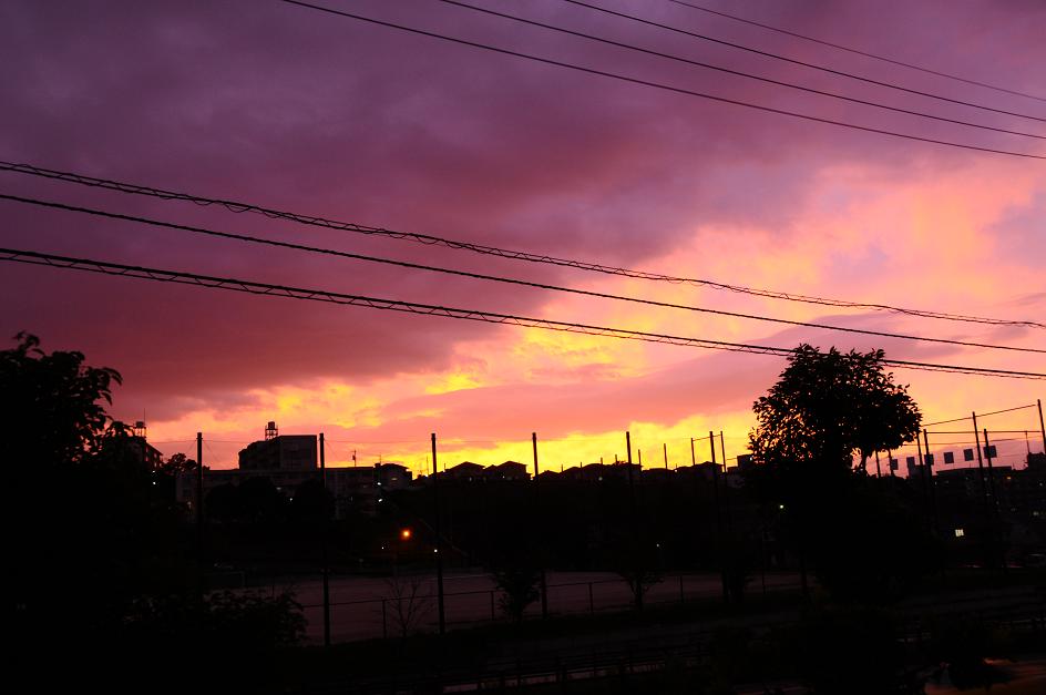 c0142535_05546.jpg