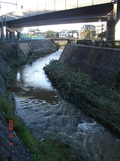 c0147935_2171577.jpg