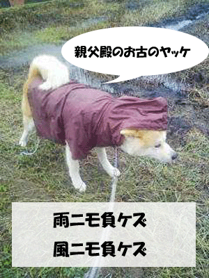 f0008935_1752588.gif