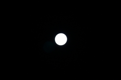 d0055236_1136765.jpg