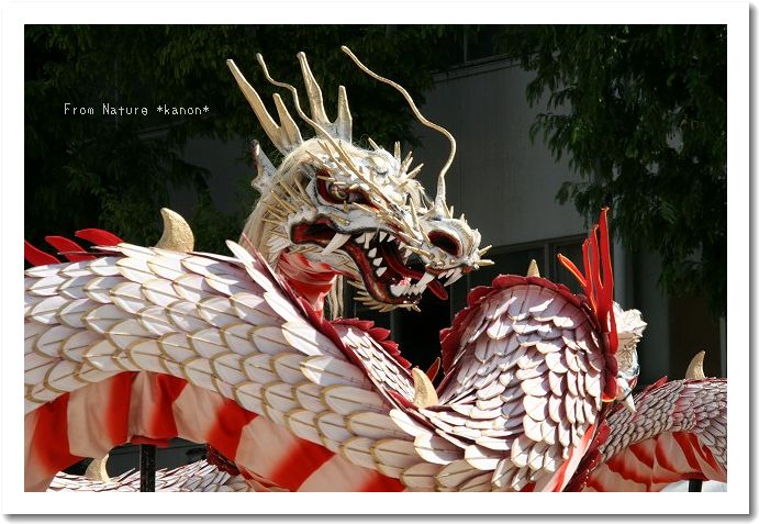 2009年長崎くんち 筑後町・龍踊 : From Nature * 花音 (kanon) * 2009年長崎くんち 筑後町・龍踊 : From Nature * 花音 (kanon) *