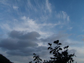 a0054240_21475257.jpg