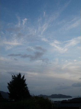 a0054240_21481523.jpg
