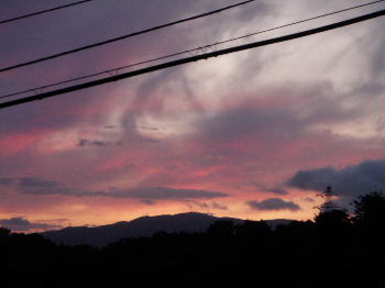 a0054240_21484682.jpg