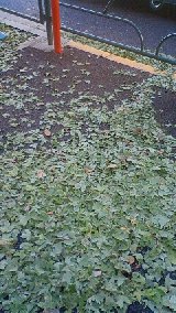 b0075140_21141251.jpg