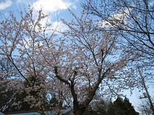 第一期生 入学式 2009年11月26日_b0175343_132385.jpg