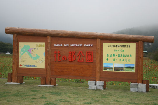 b0143546_1192062.jpg