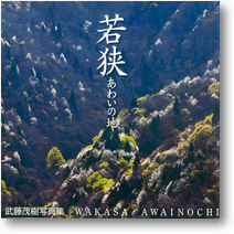 武藤茂樹作品集『若狭 あわいの地』が発売になりました_c0142549_18151561.jpg