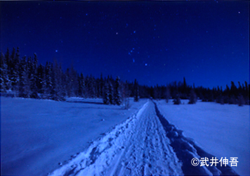 武井伸吾写真展「星宙夜想」_c0142549_18495653.jpg