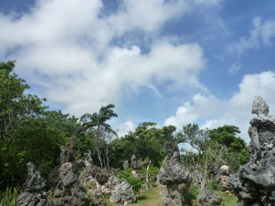 e0137752_03129.jpg