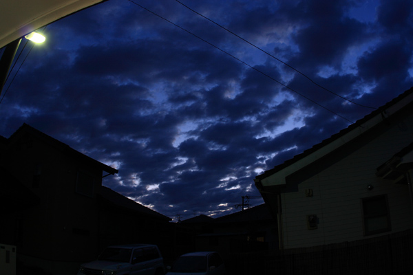 e0190052_5592419.jpg