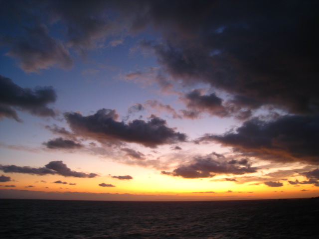 浄化された屋久島_b0160957_17284469.jpg