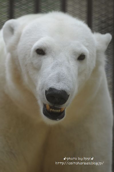 b0024758_23451357.jpg