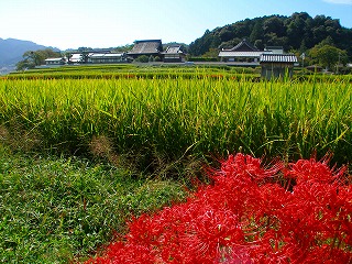 奈良旅行　④ / 明日香村古墳遺跡めぐり_c0114167_23295752.jpg