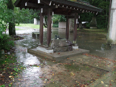 厳戒態勢×台風18号×静粛な雨夜_d0094868_1382133.gif