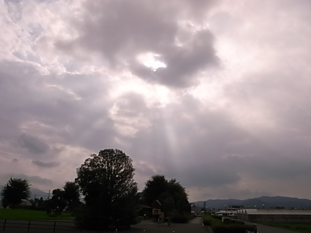 c0207873_11332979.jpg