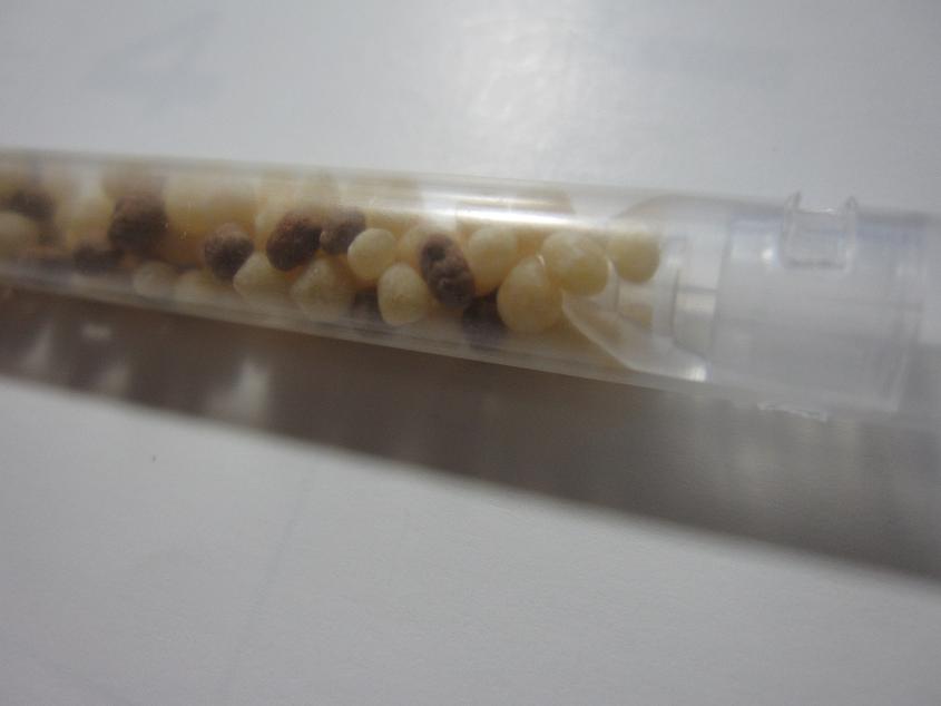 チョコ味のストロー_b0019674_22271384.jpg