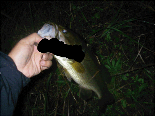 貝・・・・_a0040876_122054.gif