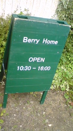 Ｂerry Ｈome  苺の北欧展_f0173479_2233880.jpg