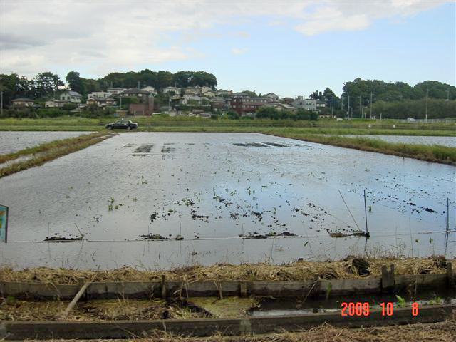 c0145581_20292038.jpg