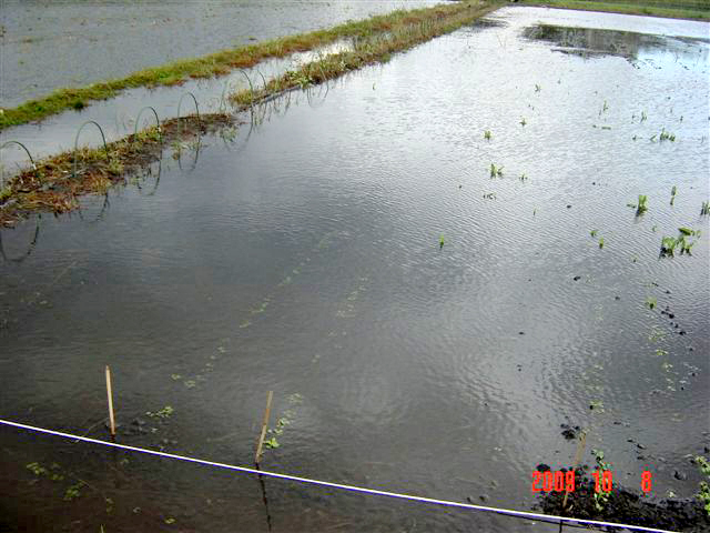 c0145581_20293682.jpg