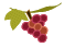 e0151483_8505796.gif