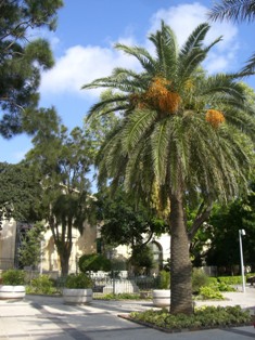 f0169885_4313267.jpg