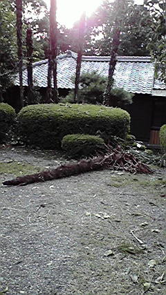  台風１８号　　　　_d0141987_22491962.jpg