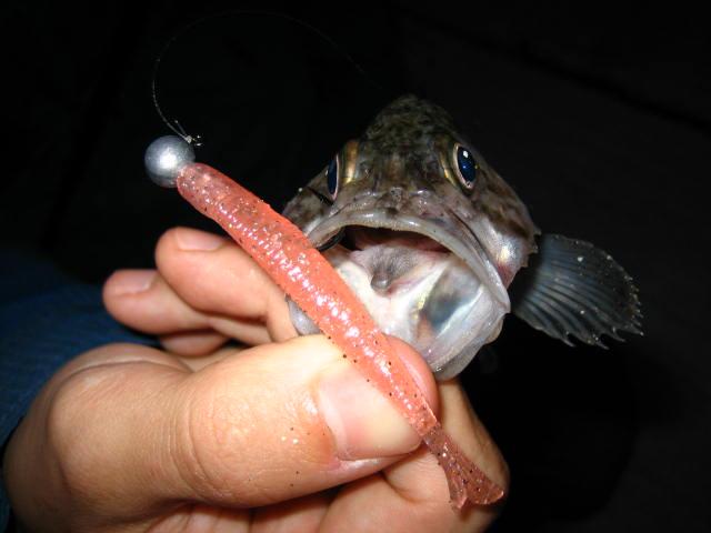 a0097491_11165628.jpg