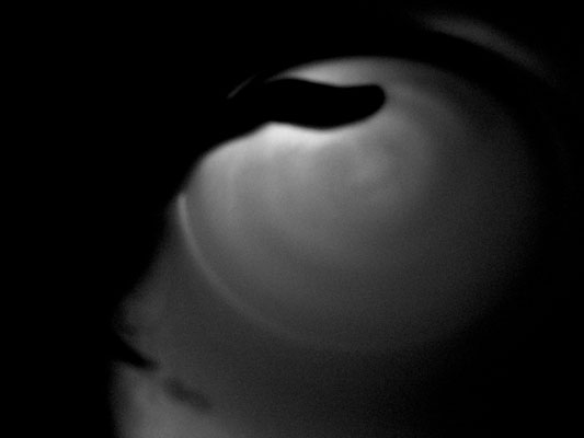 b0135310_21304829.jpg
