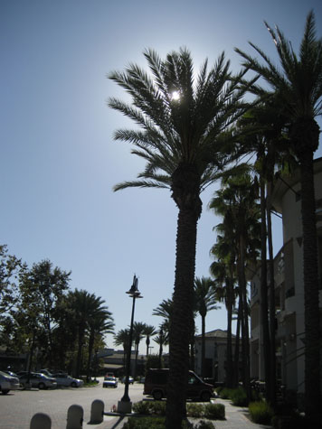 e0185225_6111311.jpg