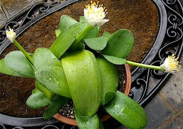 c0199728_050640.jpg