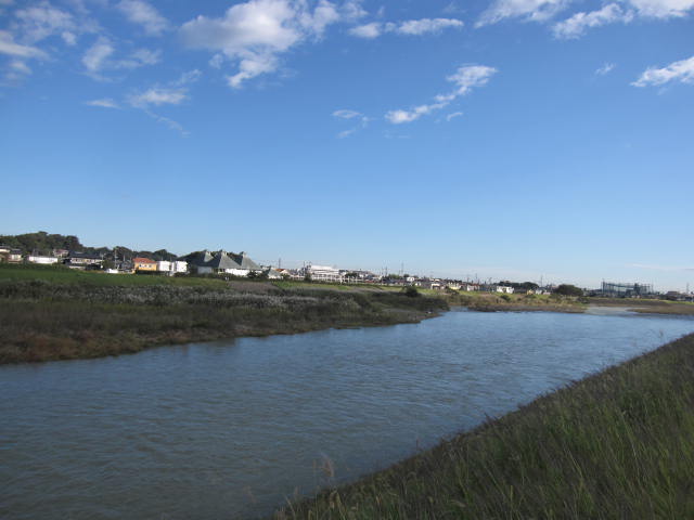 b0088037_22592.jpg