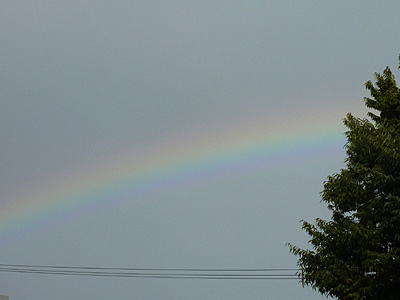 a0137240_53077.jpg
