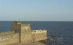 c0042941_15938.jpg