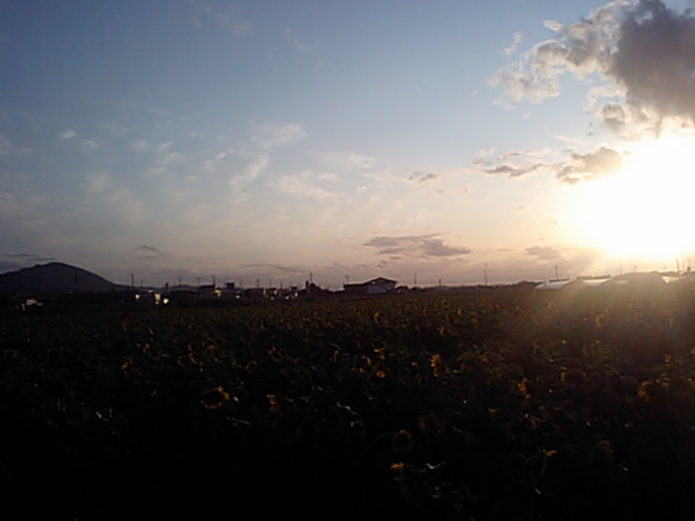 c0059543_17152974.jpg