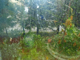 e0004756_14525727.jpg