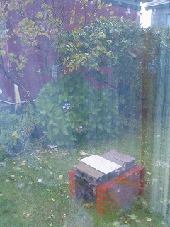 e0004756_14532787.jpg