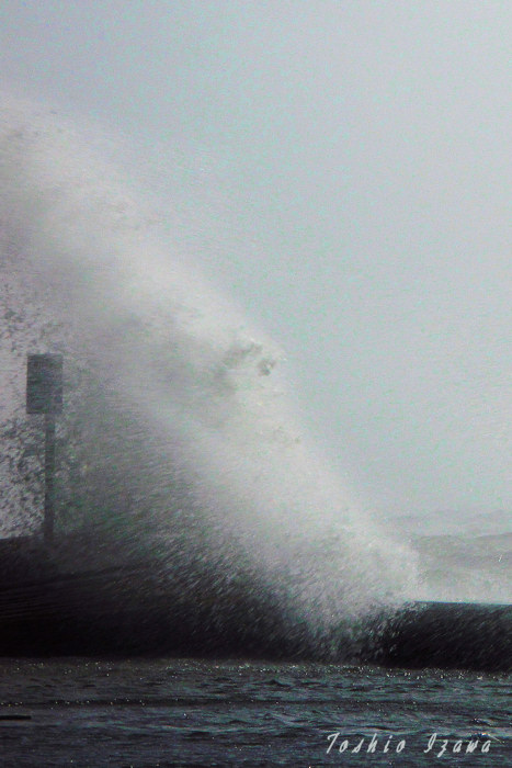 台風１８号　ｉｎ　行徳港_c0181958_0123327.jpg