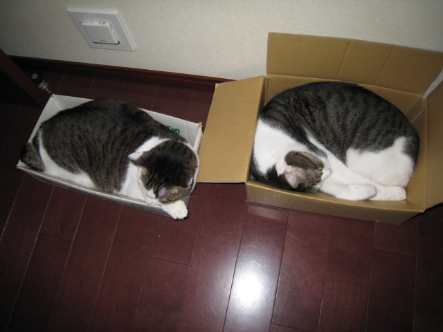 f0135859_2120408.jpg