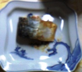 c0131164_21495481.jpg