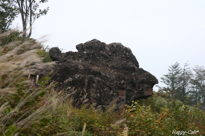 野辺山高原・獅子岩_e0148667_944374.jpg