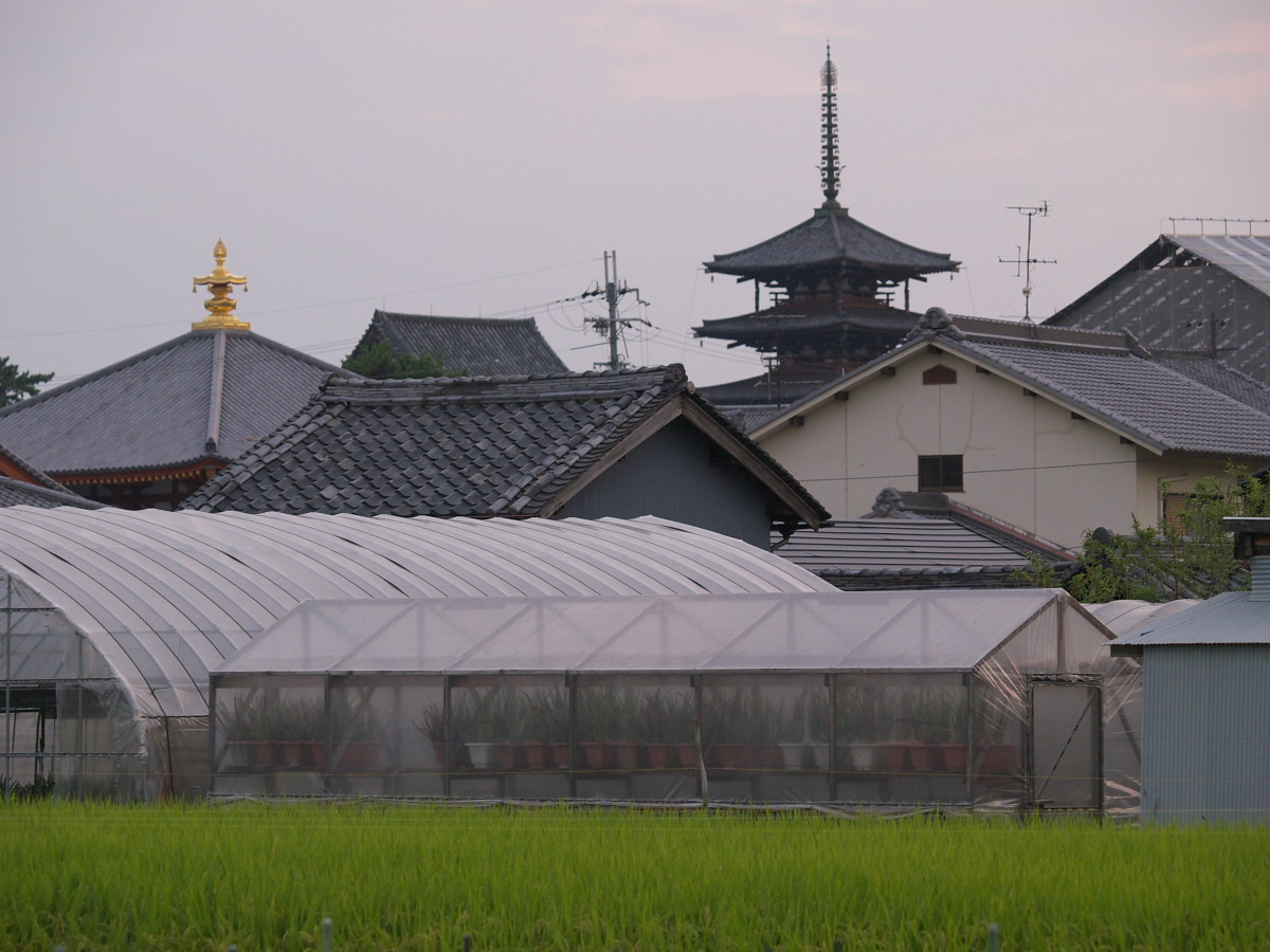 奈良　オフ会  法隆寺_f0021869_2232724.jpg