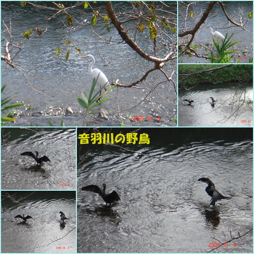 台風18号爪の跡　　②野暮用で豊橋へ　③一滴ｷﾞｬﾗﾘｰ_d0007071_1722520.jpg