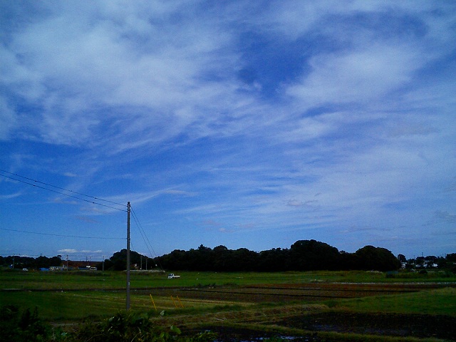 b0155973_21155735.jpg