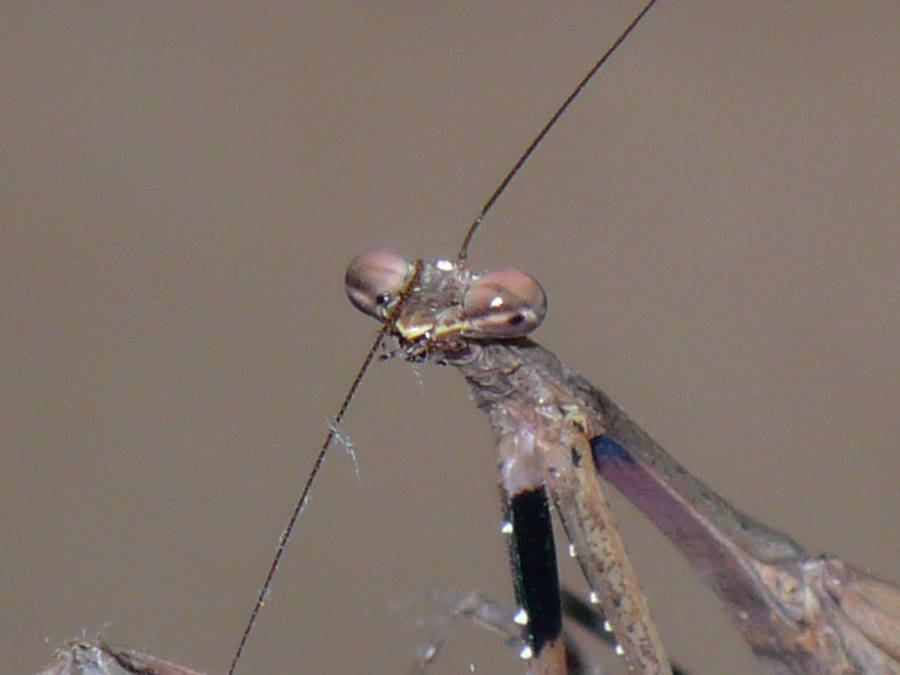 b0163381_22135279.jpg
