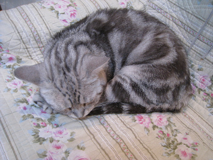 c0132387_1114665.jpg