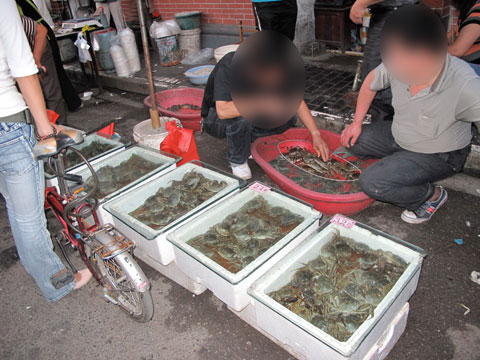 上海 ETC..._c0108595_21285327.jpg